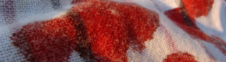 Uluru maíz Discriminación Cómo quitar manchas de sangre | Soluciones para la ropa